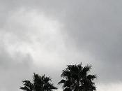 Historias verdad para leer este finde