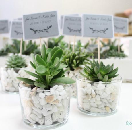 7 Detalles handmade con suculentas para invitados de boda