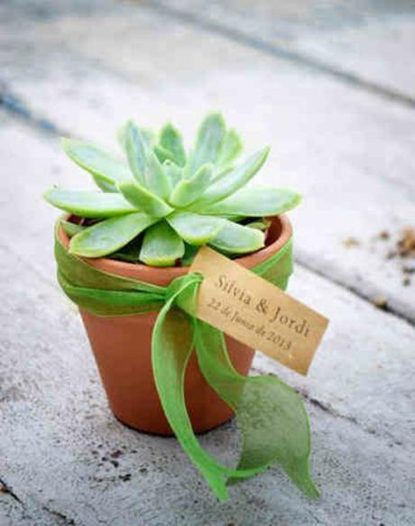 7 Detalles handmade con suculentas para invitados de boda