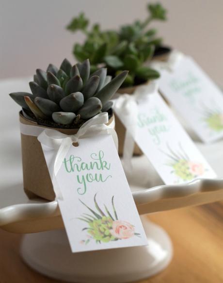7 Detalles handmade con suculentas para invitados de boda