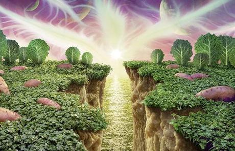 parmesan-cliffs_1120533i_thumb