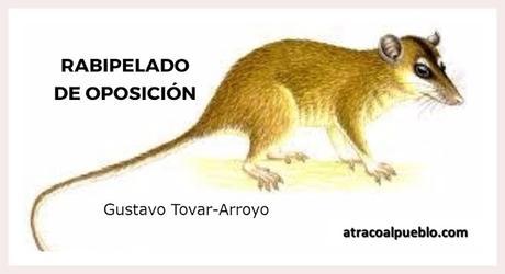 atracoalpueblo.com RABIPELADO DE OPOSICION