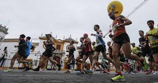 Liebre en el Maratón de Sevilla