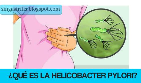 ¿Qué es la Bacteria Helicobacter Pylori? Su relación con la Gastritis Crónica
