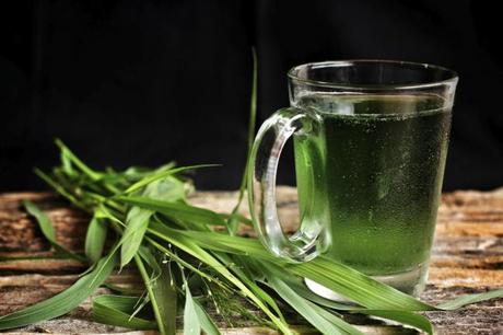 ¿Conocías-Los-Beneficios-De-La-Clorofila-Como-Remedio-Natural