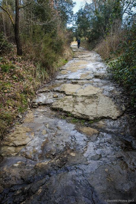 Cuidado dónde pisas