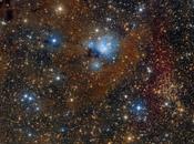 ✨Estrellas, polvo, 7129