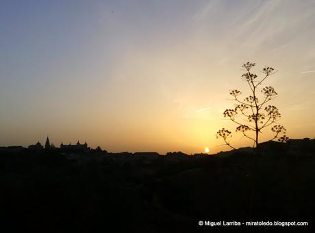 Toledo, nueva ciudad del Sol