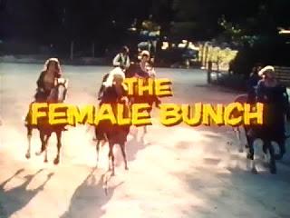 GRUPO SECRETO (Female Bunch, the) (USA, 1969) Acción