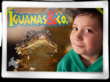 Iguanas & co