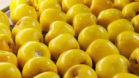 ¿Sabías que los premios Óscar van acompañados de regalos?