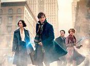 Animales fantásticos dónde encontrarlos: película guión original.