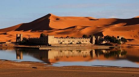 CAP. 43 . . . . . . . . . . . . . . . . . . . . . . . . . . . . . . Andanzas y tropezones de Dikembe Biyombo