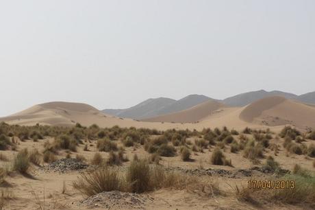 CAP. 43 . . . . . . . . . . . . . . . . . . . . . . . . . . . . . . Andanzas y tropezones de Dikembe Biyombo