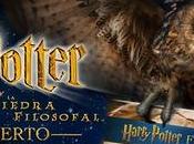 Harry Potter Concierto Barcelona