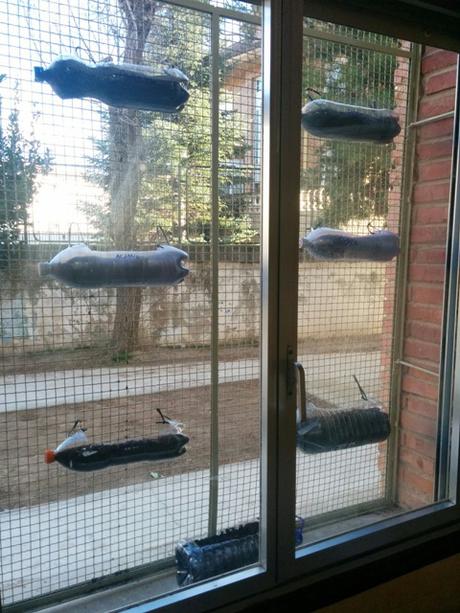 Os presentamos nuestro huerto vertical