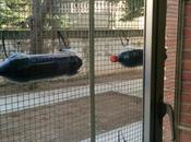 presentamos nuestro huerto vertical