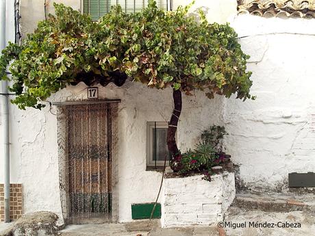 Arquitectura popular : El Berrocal