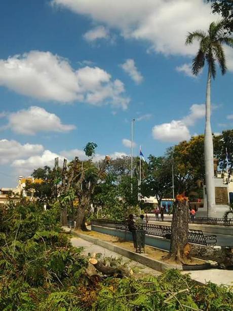Indignación en Bayamo por corte indiscriminado de árboles en Parque Central