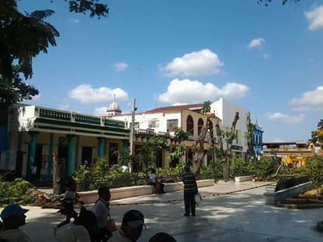 Indignación en Bayamo por corte indiscriminado de árboles en Parque Central