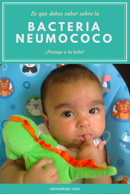 Bacteria neumococo: Un peligro para tu bebé