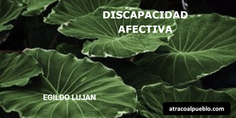 DISCAPACIDAD AFECTIVA