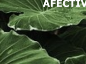 Discapacidad afectiva