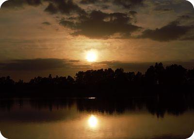 Pavo en Salsa de Fresas con Vino Dulce Naranja del Condado de Huelva ( D.O. Condado de Huelva ) Pavo en Salsa de Fresas con Vino Dulce Naranja del Condado de Huelva ( D.O. Condado de Huelva )