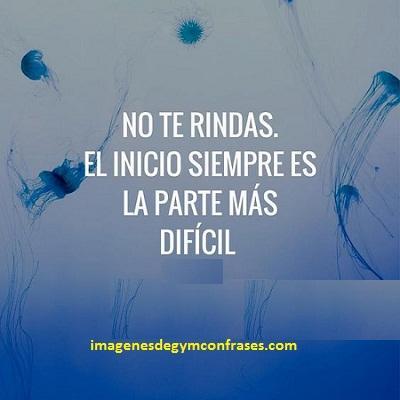 frases motivacionales para entrenar campeones