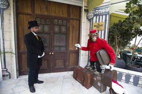 Banksy decoró en Belén el hotel con ‘la peor vista del mundo’