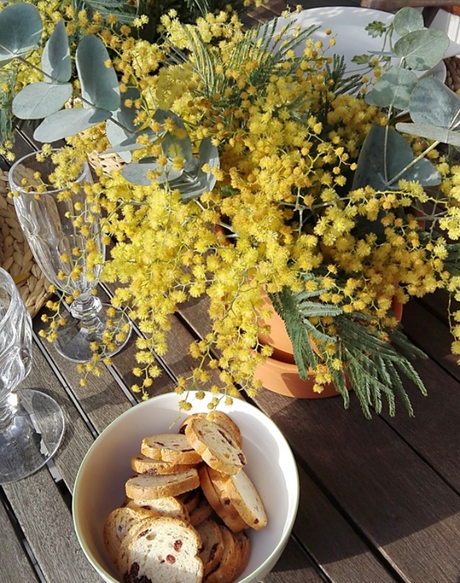 Mesa primaveral con mimosas