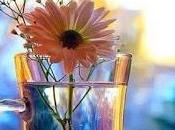 cerrado, nuevo, puerta...