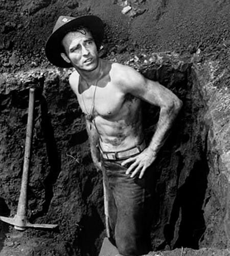 Premiar la desobediencia