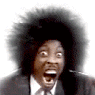 Conozca la Primera Dama de N.Y.