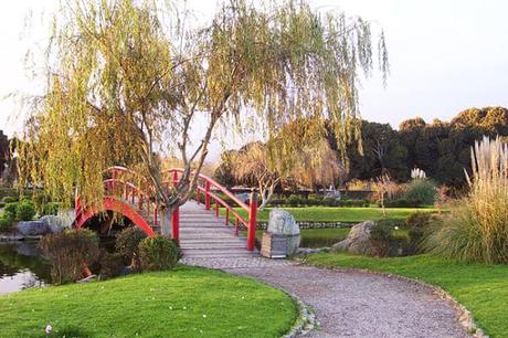 10 Lugares Que Ver y Cosas Que Hacer En La Serena, Chile.