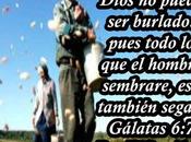 ¿Qué estás sembrando?