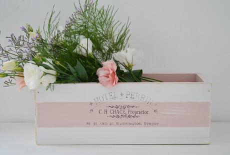 VP en los Elegidos de Ohlalá!