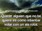 Cuatro imagenes desamor para descargar gratis dedicar