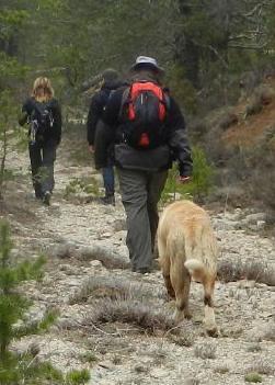 Barranco Umbria Gudar, senderismo y perros.