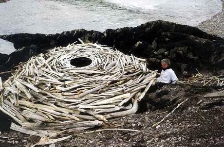 Andy Goldsworthy Riverstides