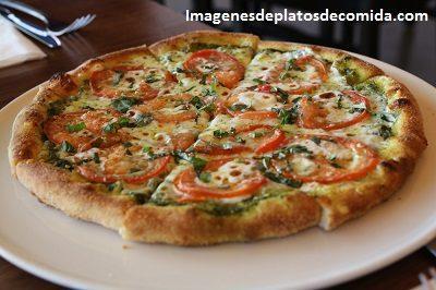 variedad de platos de comida faciles variedad de platos de comida faciles