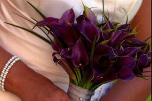 Bodas en MORADO