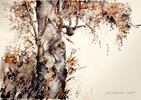 Dibujos con tintas. Plumillas y estilográfica