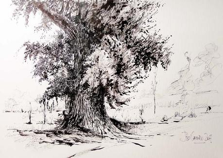 Dibujos con tintas. Plumillas y estilográfica