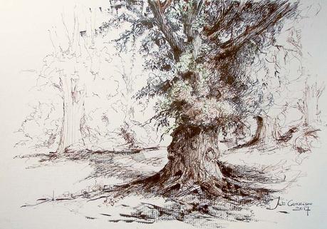 Dibujos con tintas. Plumillas y estilográfica