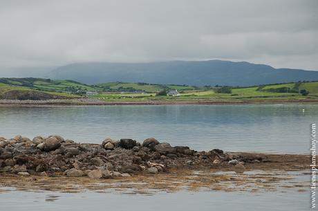 Focas Clew Bay Condado de Mayo Irlanda