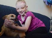 perrito Chihuahua enfrenta Pitbull salva dueña, niña Años #Historias #Perros #Mascotas (FOTO)