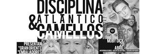 Concierto de Disciplina Atlántico y Camellos en Moby Dick