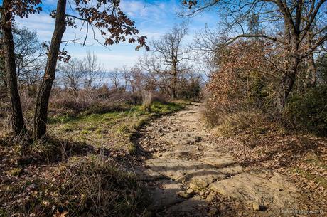 Camino a La Foradada