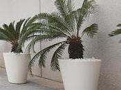 madrid, para llevar españa infierno…